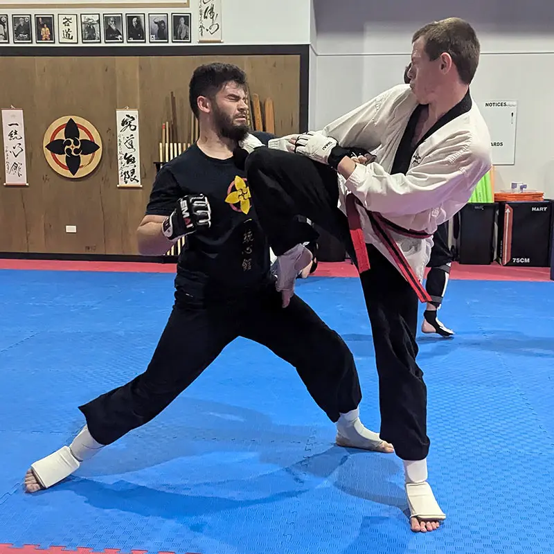 Adult Martial Arts Classes Near Me in Caboolture South | My Martial Arts