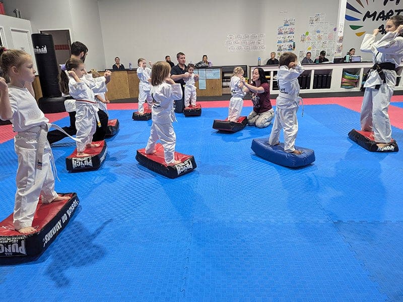 Preschool Martial Arts Classes Near Me in Caboolture South | My Martial Arts